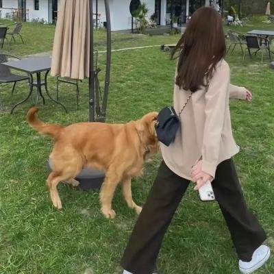 不义之财3